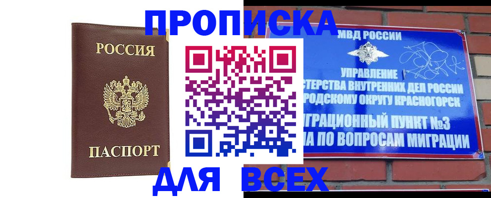 пропишу в квартире в Брянской области